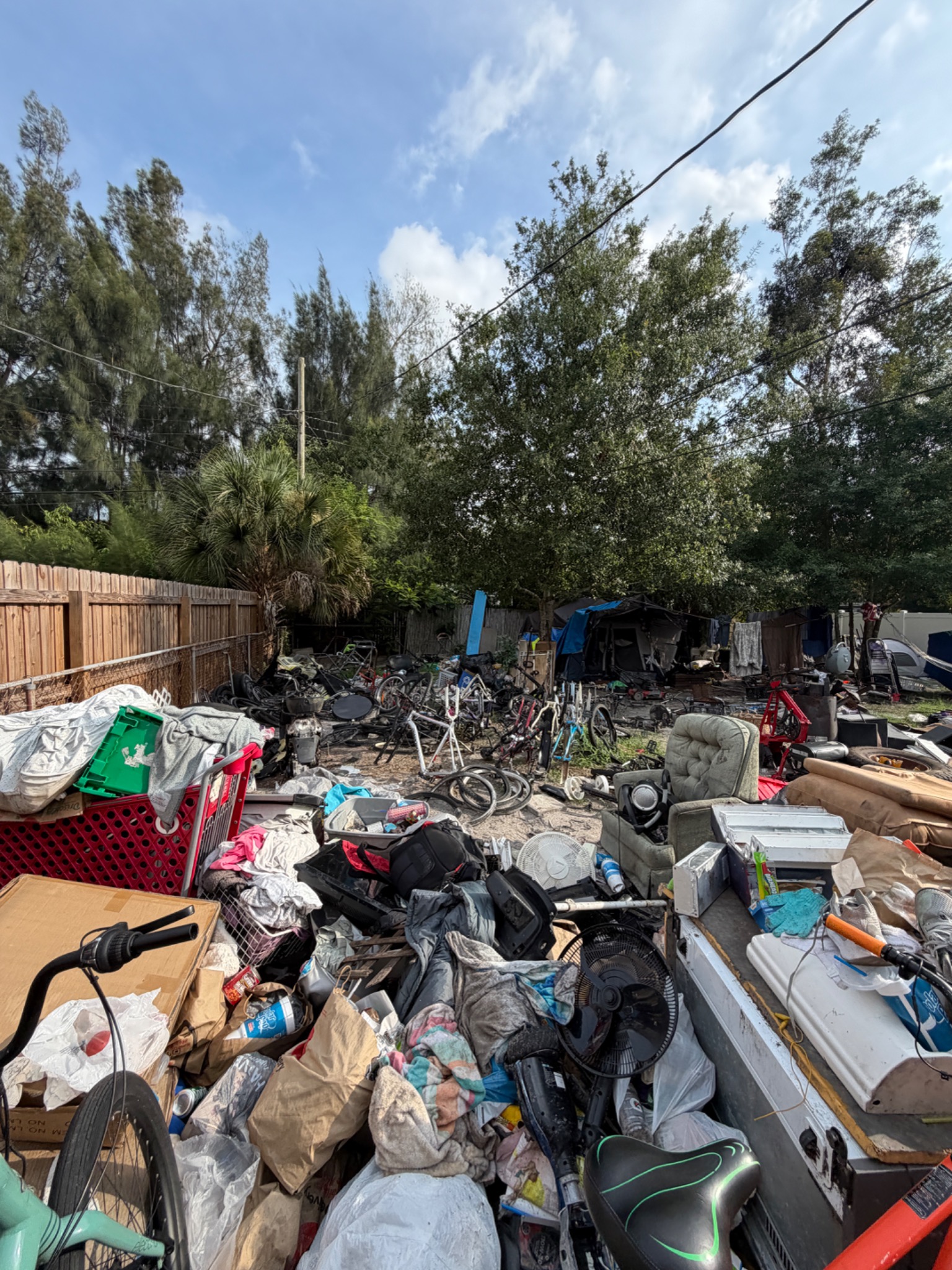 Large yard cleanup